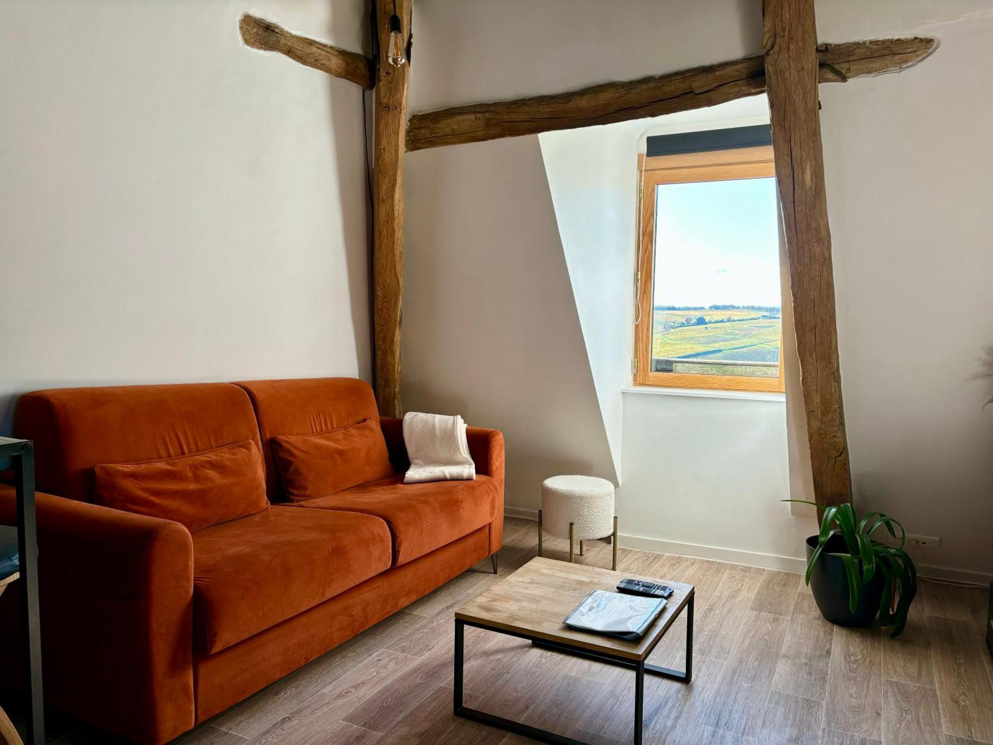 Appartement Cosy Vue Sur Le Vignoble Sancerre Exterior foto